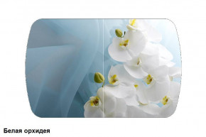 Стол Бостон 2 (1100*700) опоры Брифинг (Стекло/фотопечать Белая орхидея) в Половинке - polovinka.germes-mebel.ru | фото